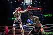 Bangkok Brawl 