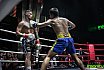 Bangkok Brawl 