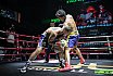 Bangkok Brawl 